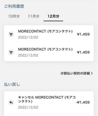 ペイディについての質問です。
キャンセルした商品があり、払い戻しというところにちゃんと払い戻しされているようになっているのですが、12月分の請求のところには含まれています。どういう事なのでしょうか？ 