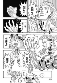 Hunterxhunterに関する質問です ビスケがゴンの母親の疑惑 Yahoo 知恵袋