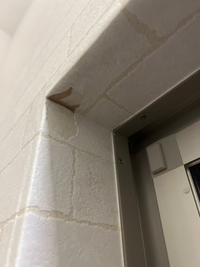 来年から新卒で働く者です 家賃負担円でレオパレスに住むことがで Yahoo 知恵袋