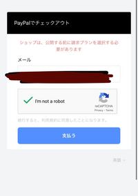 Paypalの支払いしようとした時にこうなるんですけどどうす Yahoo 知恵袋