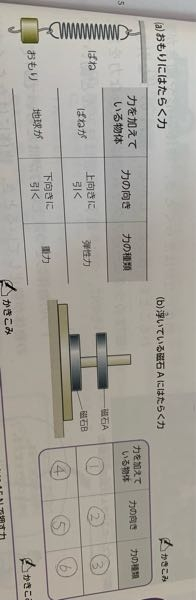 Sq8xpuz5oubrtm