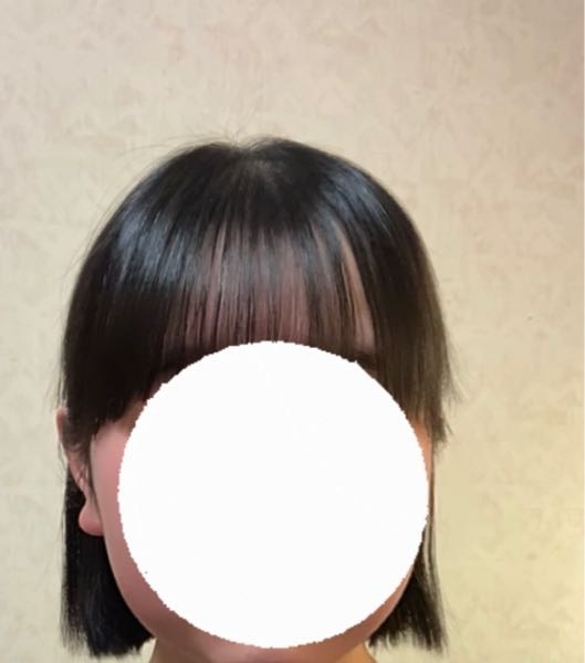 18歳の女子高生の髪の毛（髪束）です（姉）