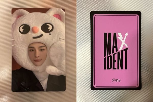 人気特価 JYP特典 MAXIDENT straykids 8枚セット トレカ skzoo K-POP