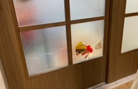 賃貸物件の室内のガラス扉を子供が割ってしまいました。扉はかす