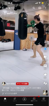 平本蓮選手がMMAのスパーリングなどで使っている茶色のグローブ
