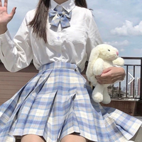 ディズニーに行くのですが画像みたいな制服の色違いを高校生が着