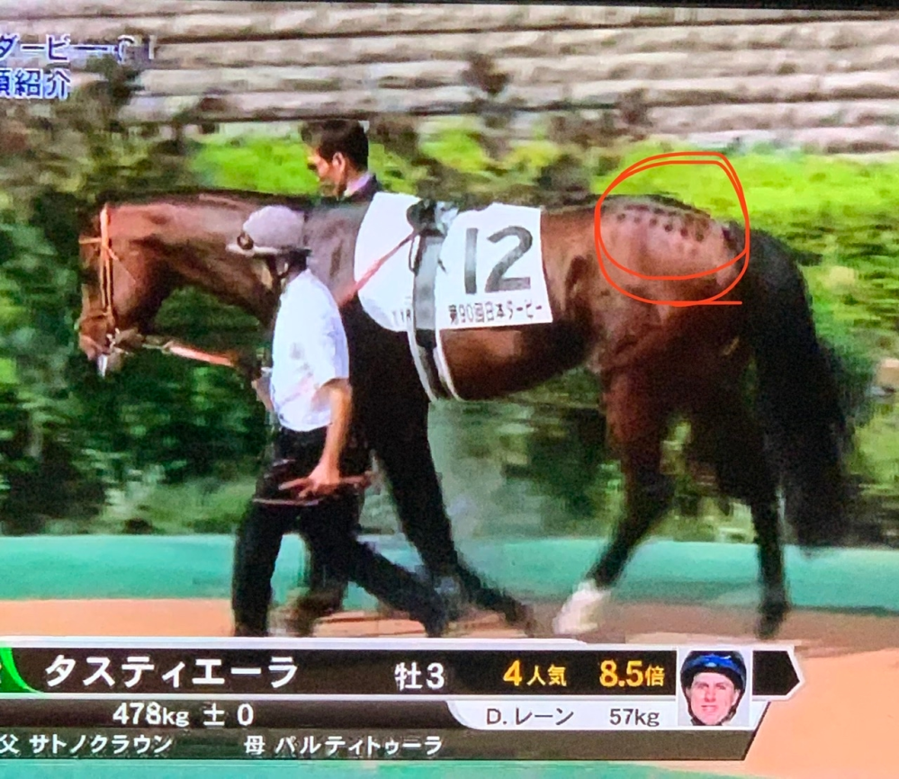 本日は競馬の祭典、日本ダービーでした。テレビで見ていたのです