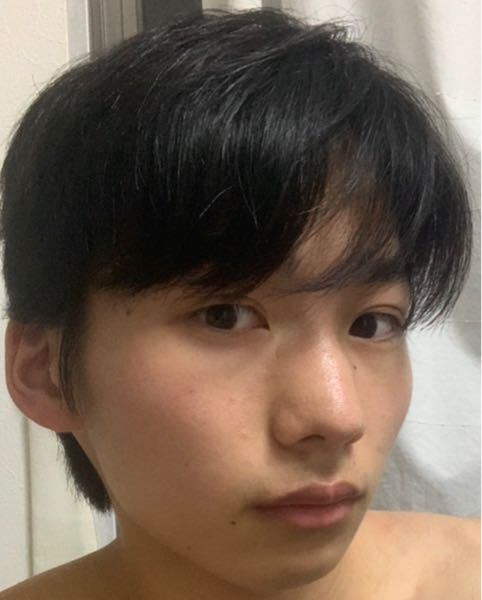 至急お願いしますこの鼻は大きいですよね、鼻先がまずかなり大き 
