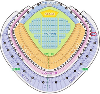 東京ドーム 野球チケット A49ブロック 8/3(水)東京ドームチケット 巨人×阪神戦。1塁側 内野指定S席