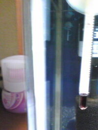 水槽のシリコン部分の端の方が切れてしまいました 今のところ水 Yahoo 知恵袋