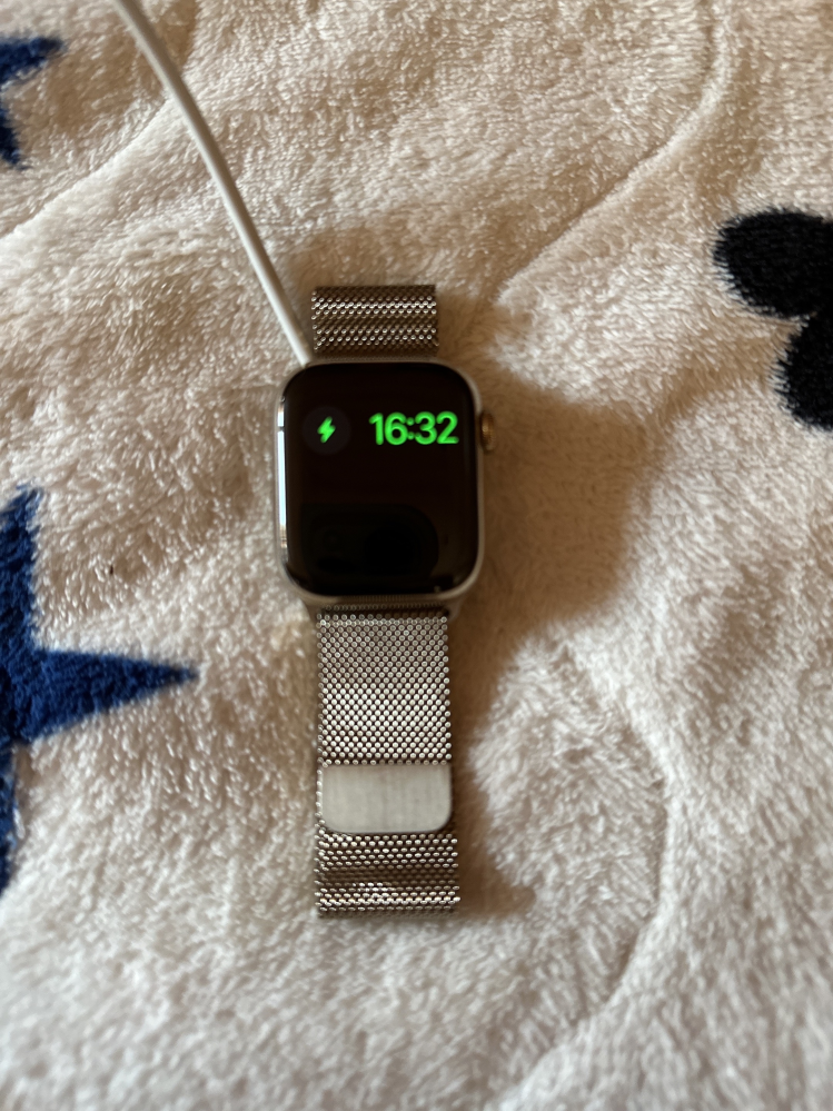 AppleWatchが画像の画面のまま動きません。再起動もできません 