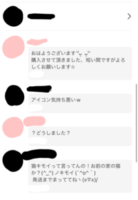 メルカリで煽られ？ました。黒＝出品者ピンク＝購入者（私）です