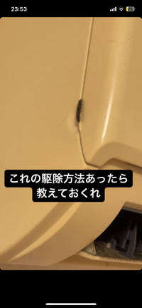 これってヤネホソバとかいう毛虫でしょうか？家の中でよく見かけるのですが、駆除方法... 教えて！住まいの先生 Yahoo!不動産