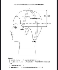 美容師国家試験カットの審査についてです。 - 下の図のところに記載  