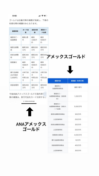 海外旅行時の保険についてです。

来週ハワイに妻と2人で行く予定です。
現在
アメックスゴールド
ANAアメックスゴールドを所有しており
2枚のカードで決済をし、 それぞれ利用付帯はクリアしてます。

その中で客観的にみて海外旅行経験者や詳しい方から見て
別途海外旅行保険に加入した方が
良いのでしょうか？