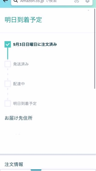 ame 期日よりも発送お時間かかりますことご了承ください。 ame様専用 期日よりも発送お時間かかりますことご了承ください