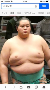 相撲です。
琴ノ若はなぜ、おっぱいが4個あるのですか？ 