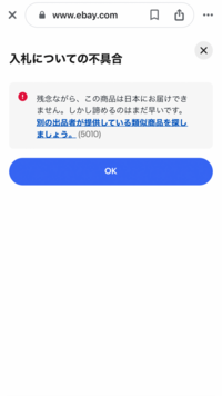 ebayで入札しようとした際にこのように表示されたのですが、購入