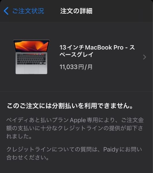 専用　購入できません ペイディAppleで商品を購入しようとしたんですが、購入確定画面に移動
