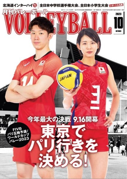 バレーボール選手 男子 バレー ユニフォーム ノースリーブ ミズノ