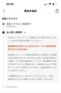 至急お願いします！コインこれってどーゆーことですか？2900円で落札