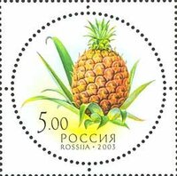 俄羅斯と鳳梨と菠蘿は何がどう違うのでしょうか 中国語で 菠蘿 Yahoo 知恵袋