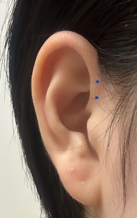 ピアスを開けている方もあけていない方も！カフス FLORIBEL ピアス(1203-AP317)