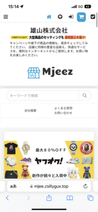 このショッピングサイトで購入しても大丈夫でしょうか？？ - 詐欺