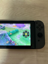 Switchの画面が急に黄色になってしまいました。 - これって