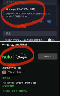 元々Huluを使っていたのですが、ディズニーも見たいと思いHuluとディズニープラスのセットを登録したのですが、Huluを解約してからセットに登録した方が良いのでしょうか？ また、ディズニープラスをインストールして新規登録？の登録の画面の時、メールアドレスとパスワードってHuluと同じものを入力するんですか？ 

あとこの写真なんですけど、ちゃんとセットで登録できてるのでしょうか？ディズニー...
