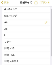 今日の朝、iPhoneをiOS 17.1.1にアップデートしました。 Safariで開いた資料を自宅のプリンター(Canon)でプリントしようとしたところ、用紙サイズにJIS B5やB5が表示されなく(選択できなく)なりました。↓こんなサイズしか選択できません。次のアップデートなどを待つしかないのでしょうか…？詳しい方教えていただけると幸いです。
