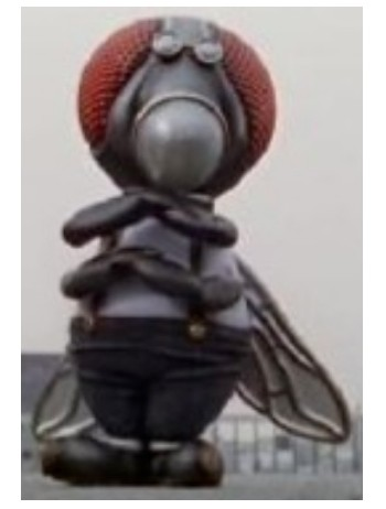 アミダラ大喜利 この画像にセリフを！？