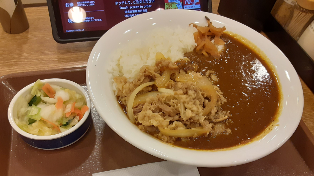 最近の、すき家カレーは松屋カレーより美味しくなったと思いますか？