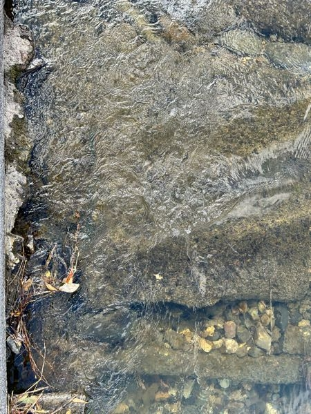 この川の水は綺麗？入っても大丈夫ですか？ かなり上流(10キロ)には水遊びできるスポットがあります。