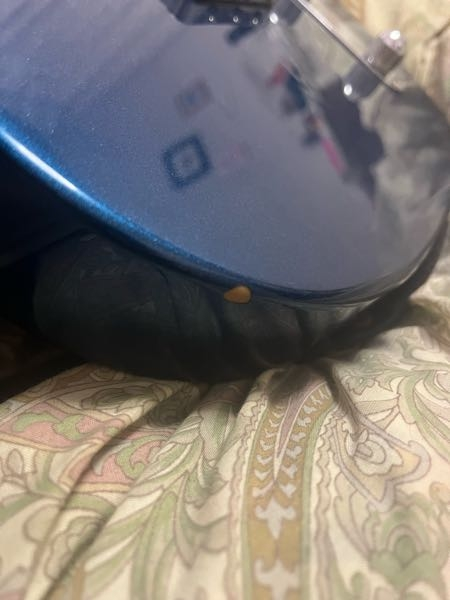 ギターの塗装が剥がれていました さっき練習していて気づきました いつか剥がれたはわからないので破片もないです ここからもっと剥がれていったりしますか？また、修復は可能なんでしょうか？ まだ 半年ちょいくらいしか使っていなくて、すごく大事にしていたのでショックです。