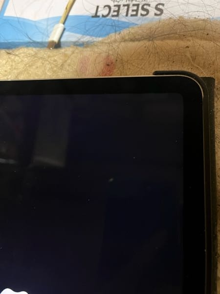 iPad10世代　ジャンクは品　画面の中に傷有り 物を落として液晶が割れてしまったiPad10世代 | Mac・iPhone・iPad