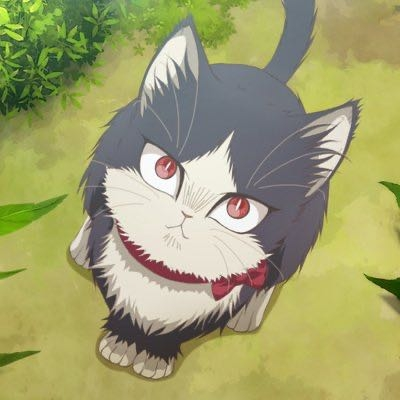 この猫の名前とアニメのタイトル教えて！