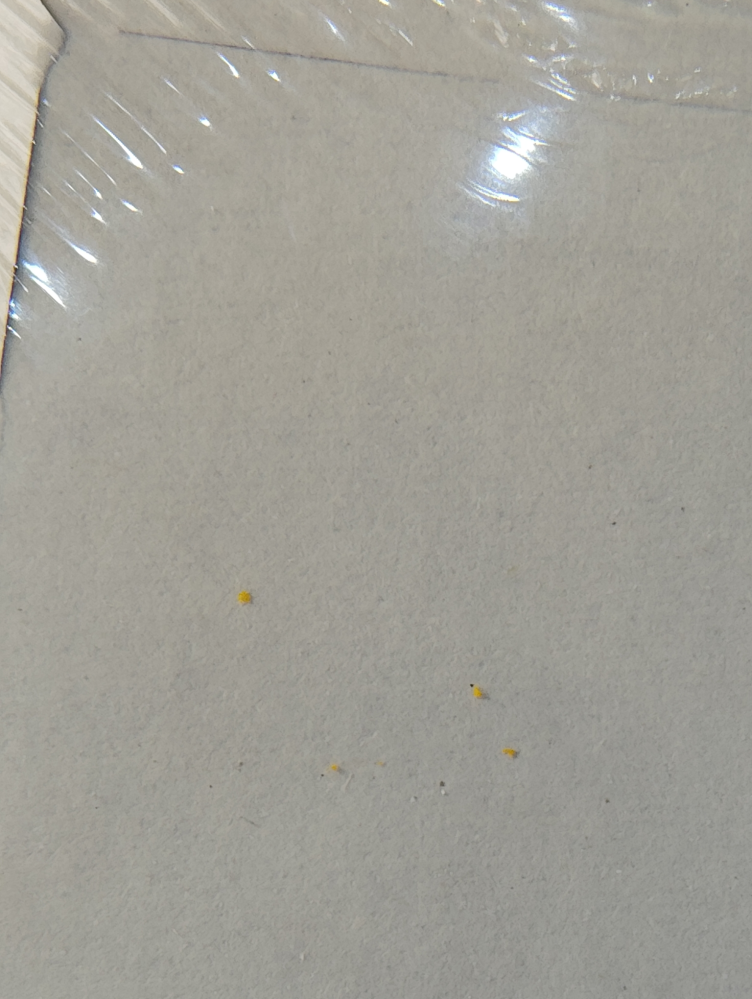 至急お願いいたします。 先日通販で本を買ったところ、簡易段ボールをビニールで包装した形で届きました。 そのまま部屋に置いていて先程見たところ、外のビニールに黄色い点々としたものが数個くっつているのに気付きました。 最近トコジラミが多く、通販の段ボールにくっついてくるという話ですが、この黄色いのはトコジラミ、また卵や幼虫などでしょうか？ 外装のビニールにくっついていて、拭いたら取れました。 もう家の中にいないかこわくてたまりません。 またトコジラミではない場合、他の虫の卵か、何かおわかりになりますでしょうか？ 詳しい方よろしくお願いいたします。