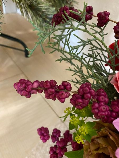 この実はなんという植物でしょうか？