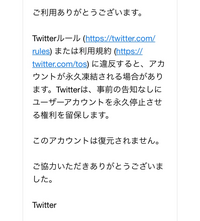 Twitter(X)で数ヶ月前に何もしてないのに永久凍結されました。それで異議申し立てしたんですけどこのアカウントは復元されませんって言われたので、もうアカウントは戻ってこないのですか？ 今後Twitterを使い続けるにはどうしたらいいのでしょうか？