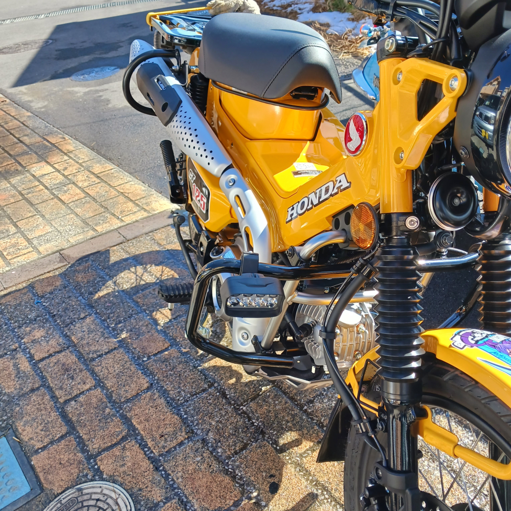 CBX250RS ヤンチャ仕様 - ホンダ