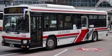 北海道のバス会社が290系のQ尺を好んで導入する理由は何故ですか？N尺は何故少ないのでしょうか。
