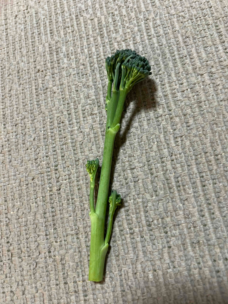 この野菜は何ですか。