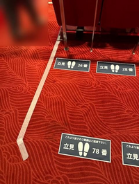 宝塚の立ち見席は座席は指定席ですが自由席なので早い者勝ちで1