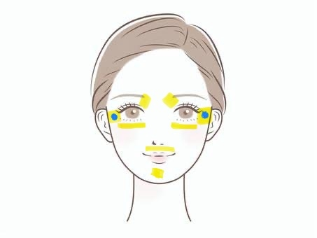 私は自分ではすぐ脂がでるので脂性肌だと思っているのですが、 目の横の部分や口周り、顎下などが下地を塗ったあとやメイク後には皮が向けたりツッパた感覚があります。 これは脂性肌でも起こることなのでしょうか？ それとも脂性肌以外の肌なのか教えて欲しいです。 私が感想、皮が向ける所の画像を貼っておきます。 黄色が皮がむけやすい所、青の丸が突っ張りを感じやすい、カサカサしやすいところです。