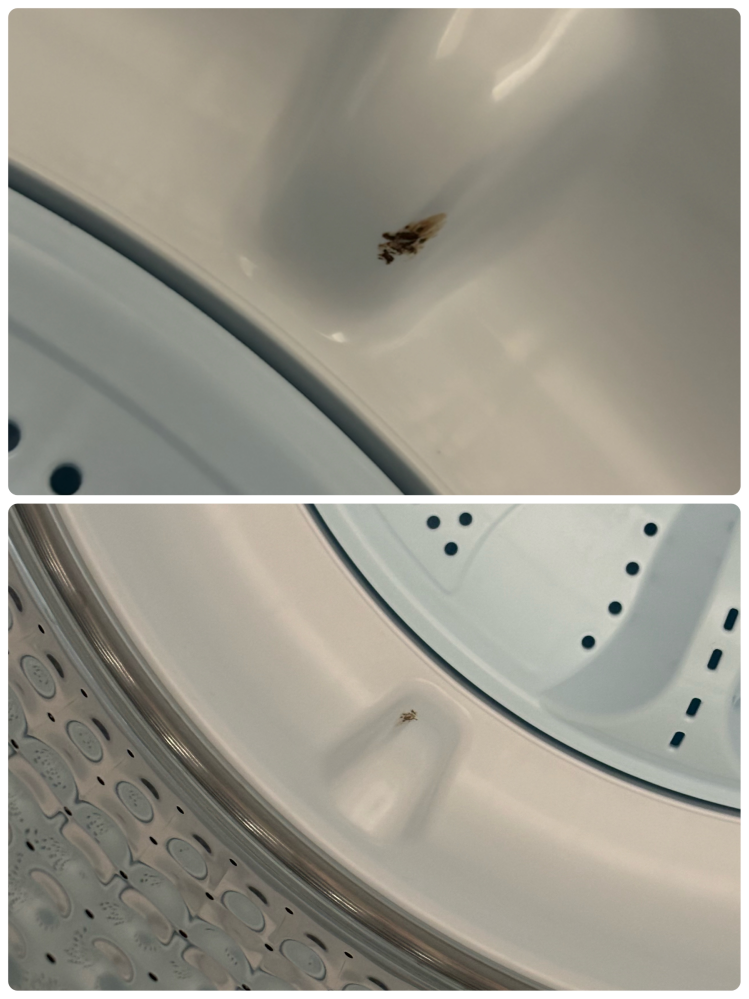 新品の洗濯機についてです。納品から5回ほど使用し、気づいたの