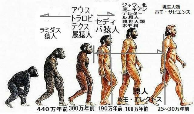 猿の惑星について質問です。 ①猿の惑星の猿たちもいずれ人間に進化するのでしょうか。それか人間が生きてる限り進化しないのでしょうか？ ②猿の惑星の猿と人間が進化する前の猿人はどっちが強いですか。どっちも同じ数で10vs10の武器あり予想でお願いします。 ③ホモ・サピエンスと猿の惑星の猿だとどちらが強いですか、1vs1の武器ありでお願いします。 ④ホモ・サピエンスと今の人間だとどちらが強いですか、1vs1 人間はプロボクサーでホモ・サピエンスは武器ありでお願いします。