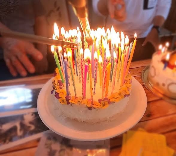 誕生日のろうそく 楽天市場】送料無料！ 恐竜キャンドルセット ハッピーバースデー 9点