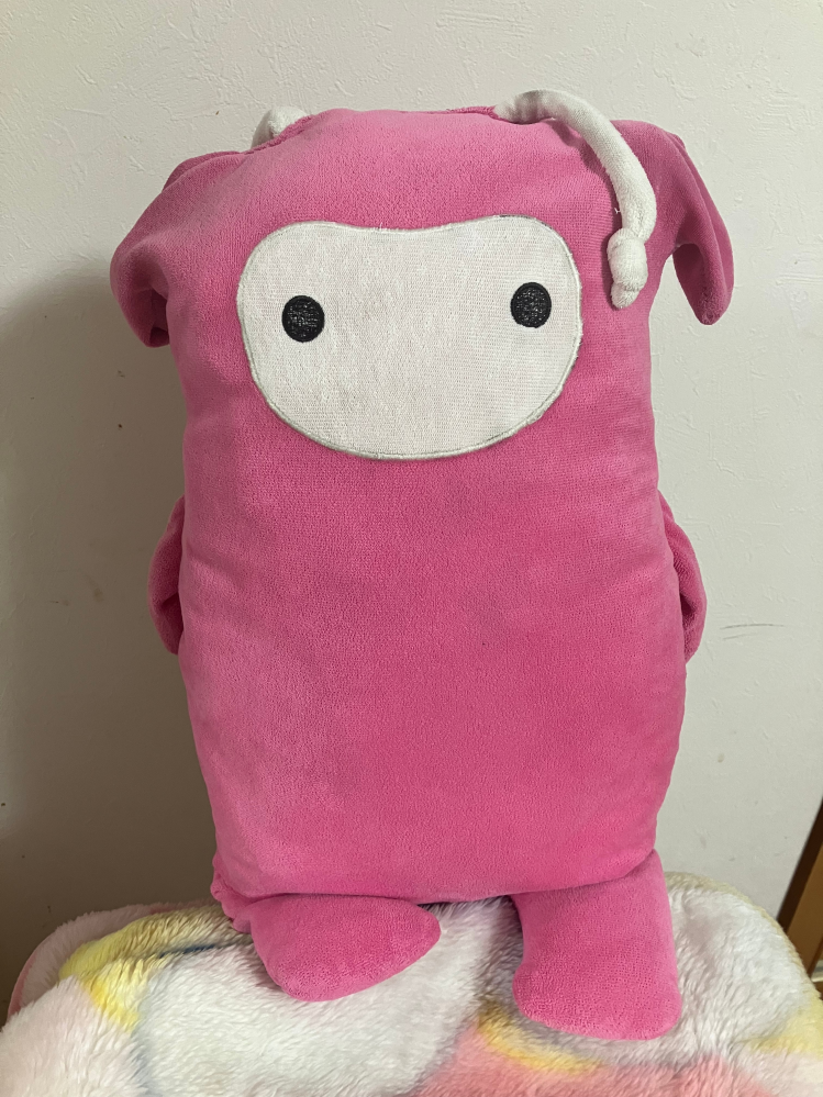 このぬいぐるみの情報を教えてください！13年前から一緒にいま 
