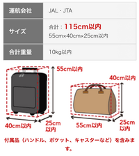 ティーウェイ航空 手荷物 オファー ハンドバッグ